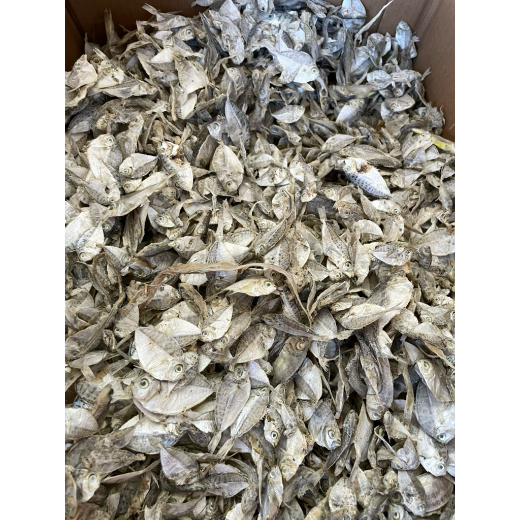 

ikan baby petek asin/dok dok keci