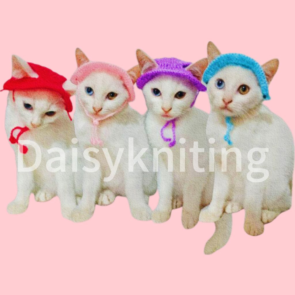 topi rajut kucing / topi kucing / topi rajut hewan