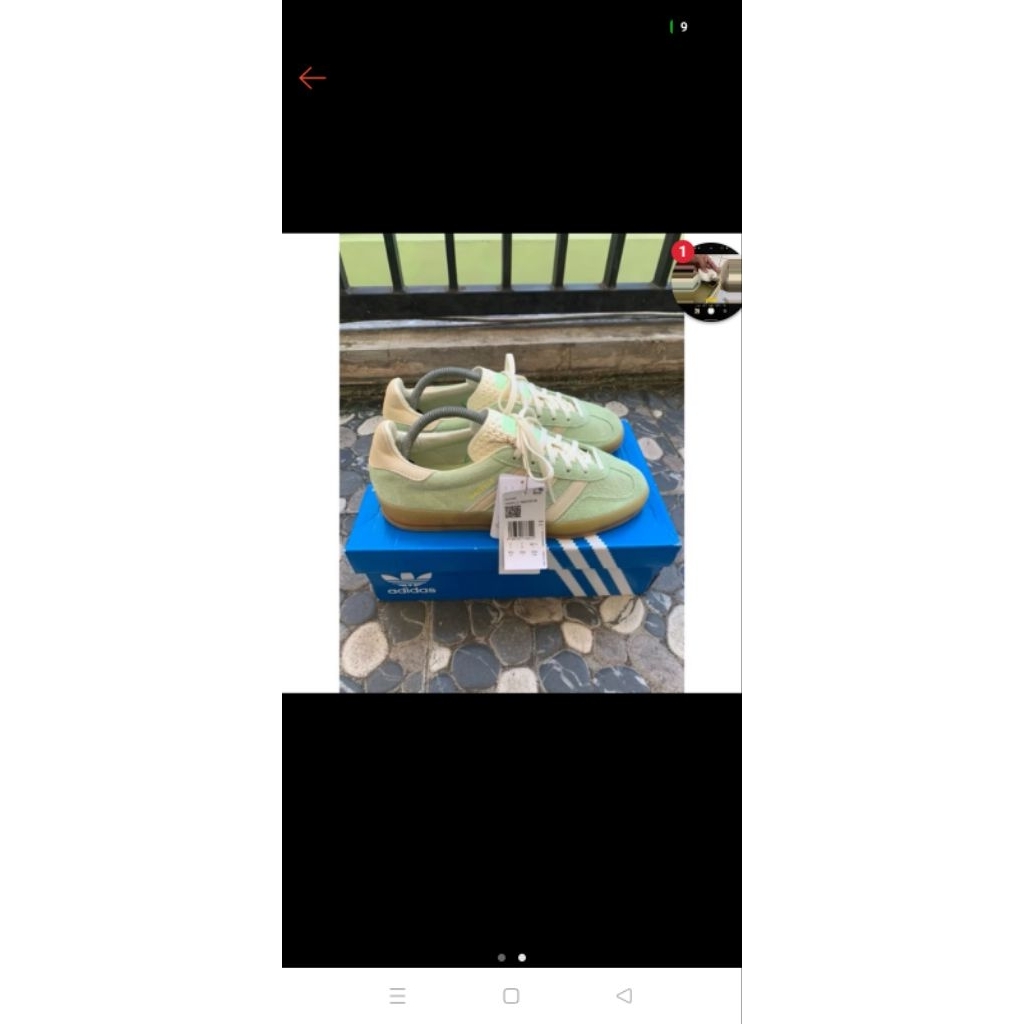 adidas gazelle indoor