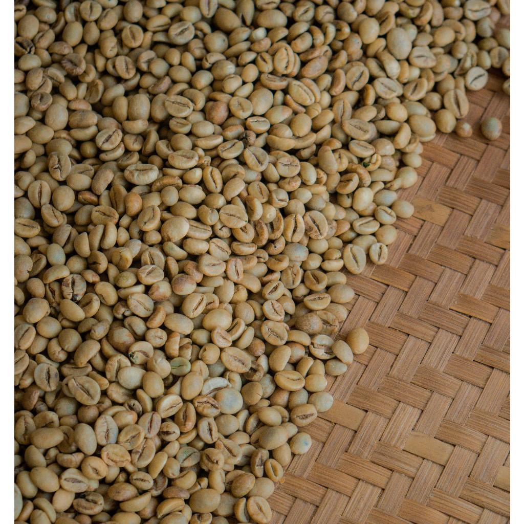 Kopi Green Bean Robusta Dampit 1kg Natural Proses Grade 1 - Biji Kopi Mentah Robusta Dampit Malang