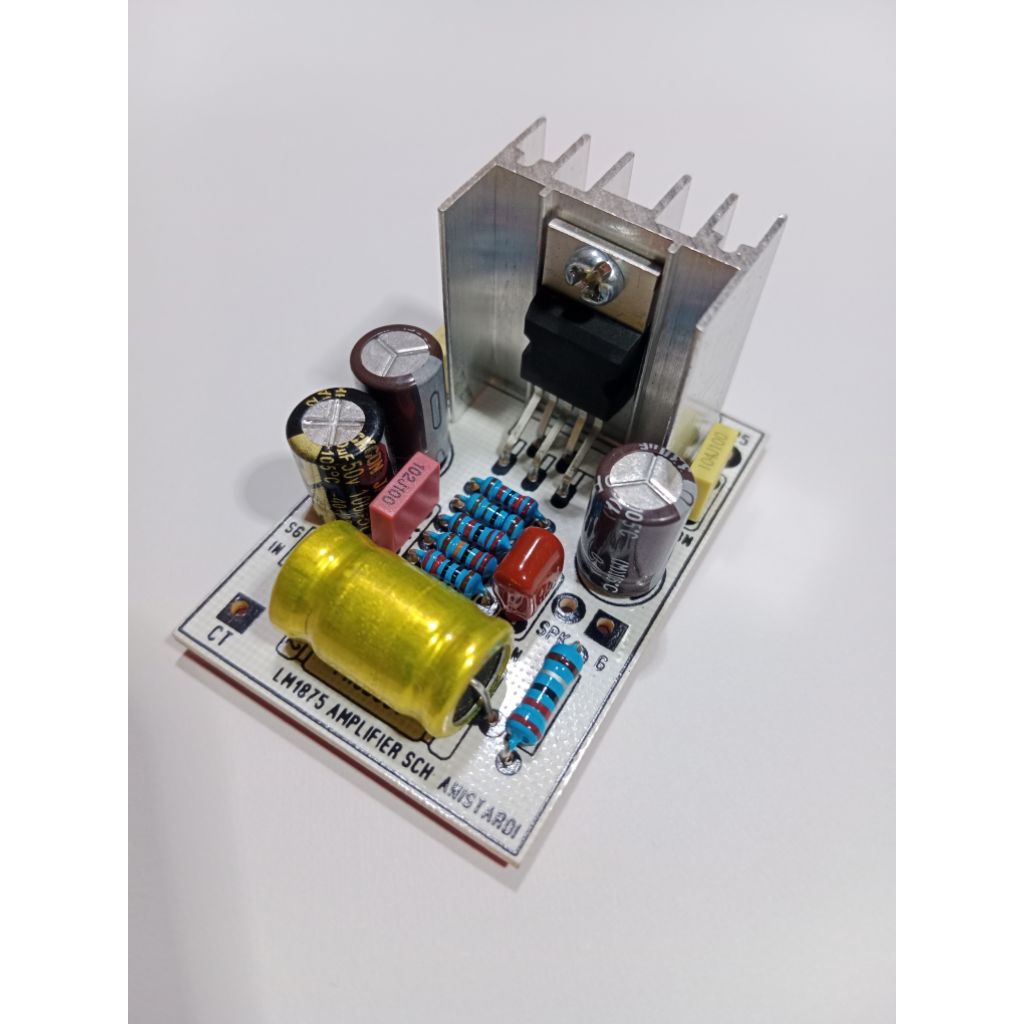 Kit LM1875 Gainclone Power Amplifier