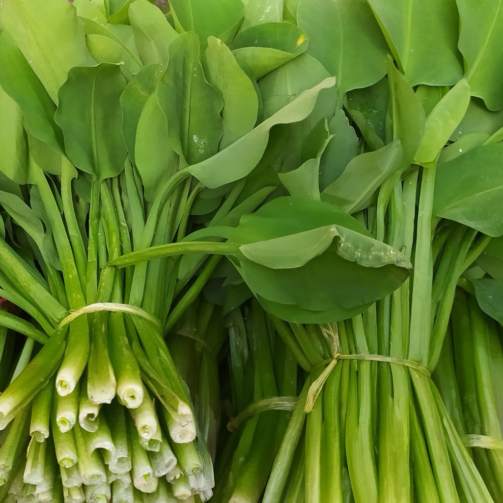 

Daun Genjer Segar | 250gr