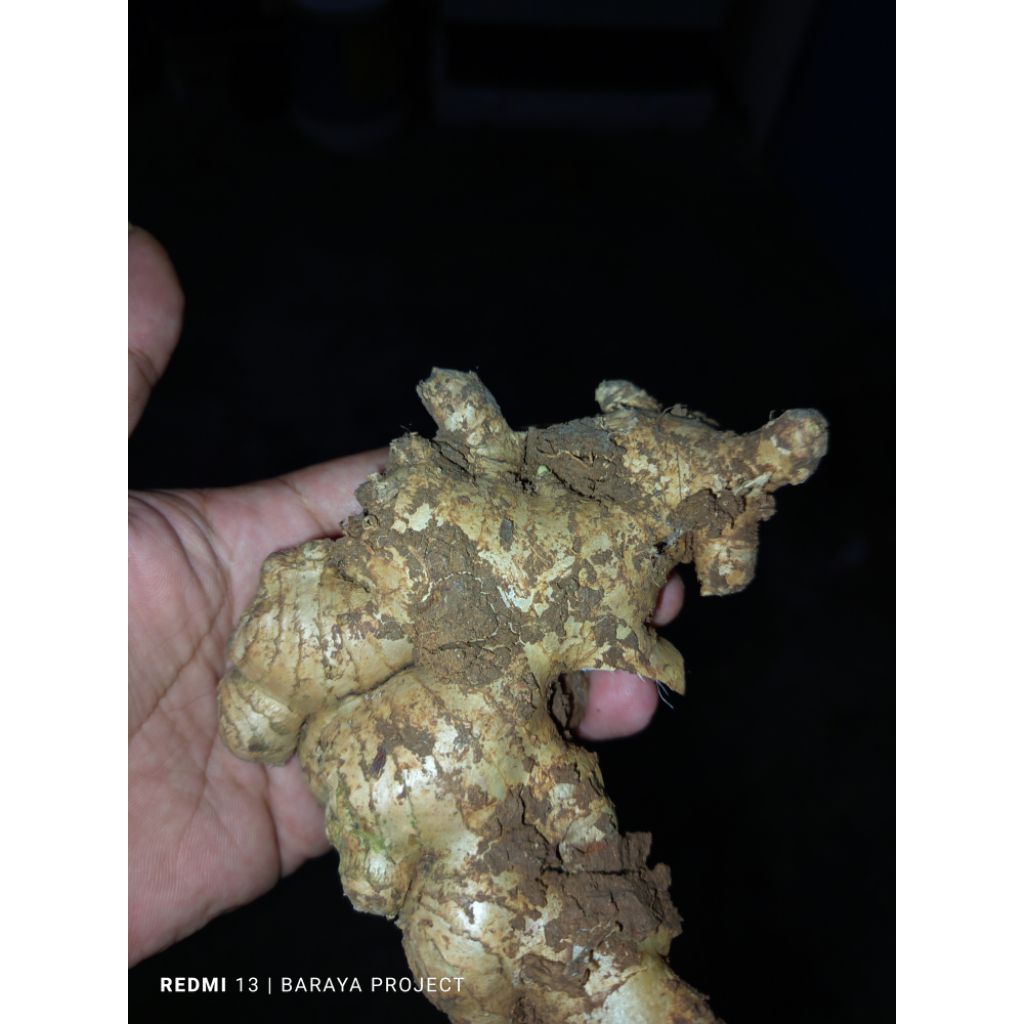 

paket hemat jahe dan gula merah