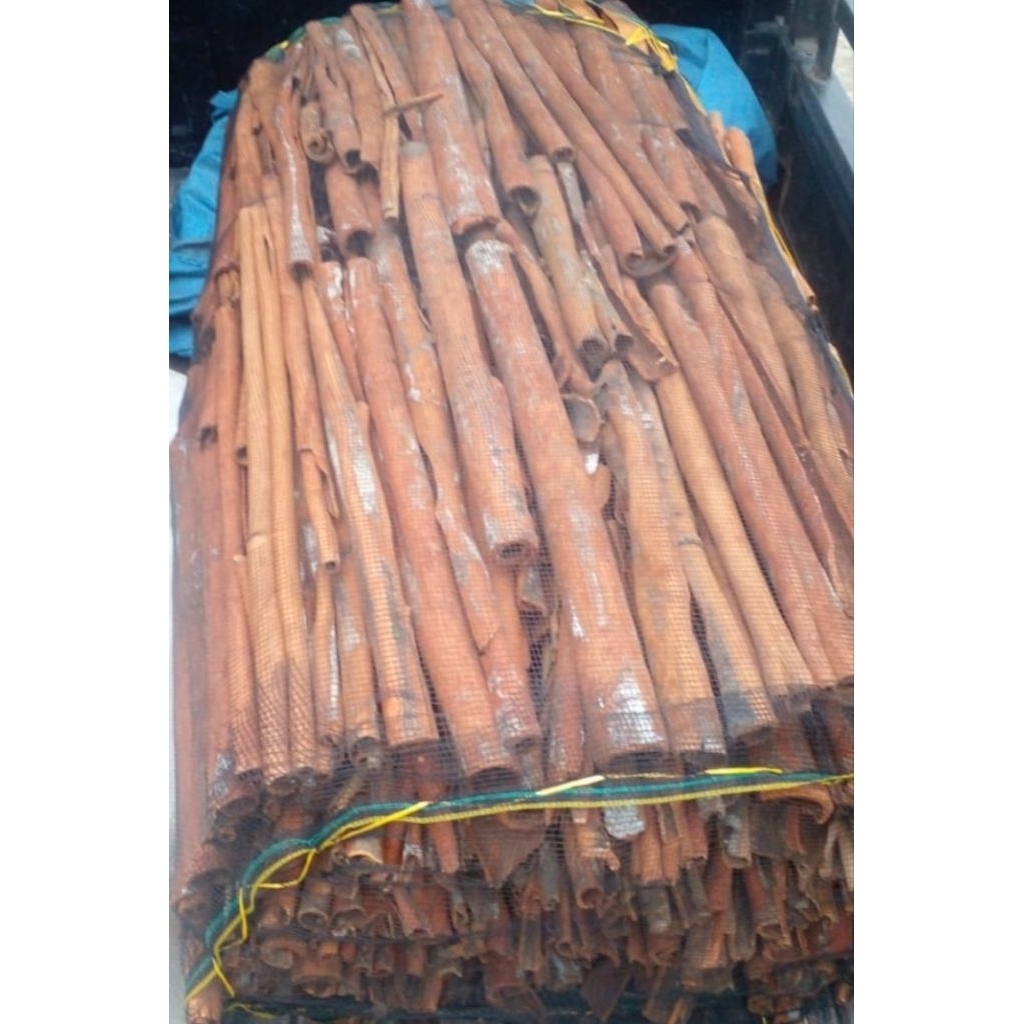 

kulit kayu manis asli kerinci