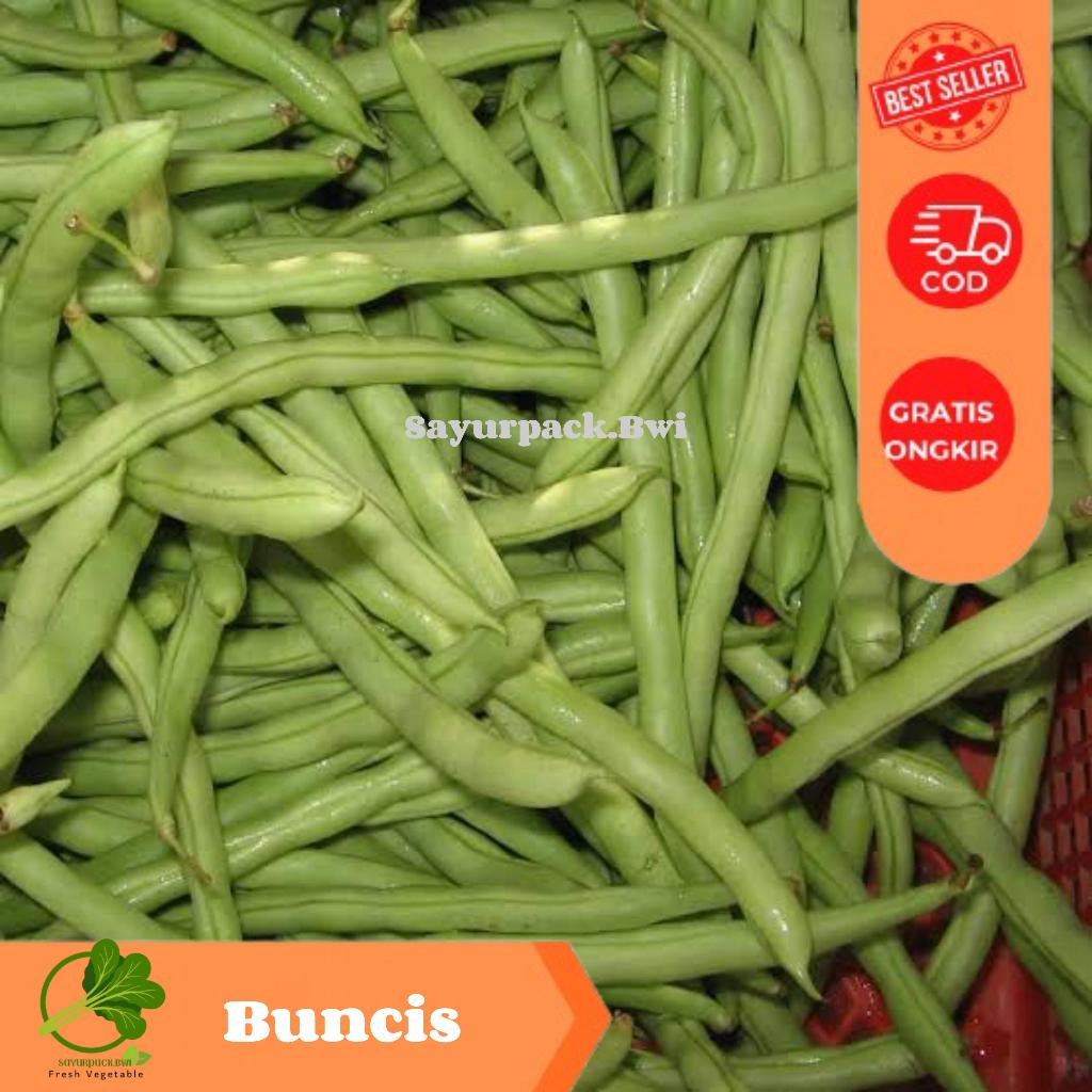 

Buncis - Sayur buncis - Ucet lokal - sayurpack.bwi
