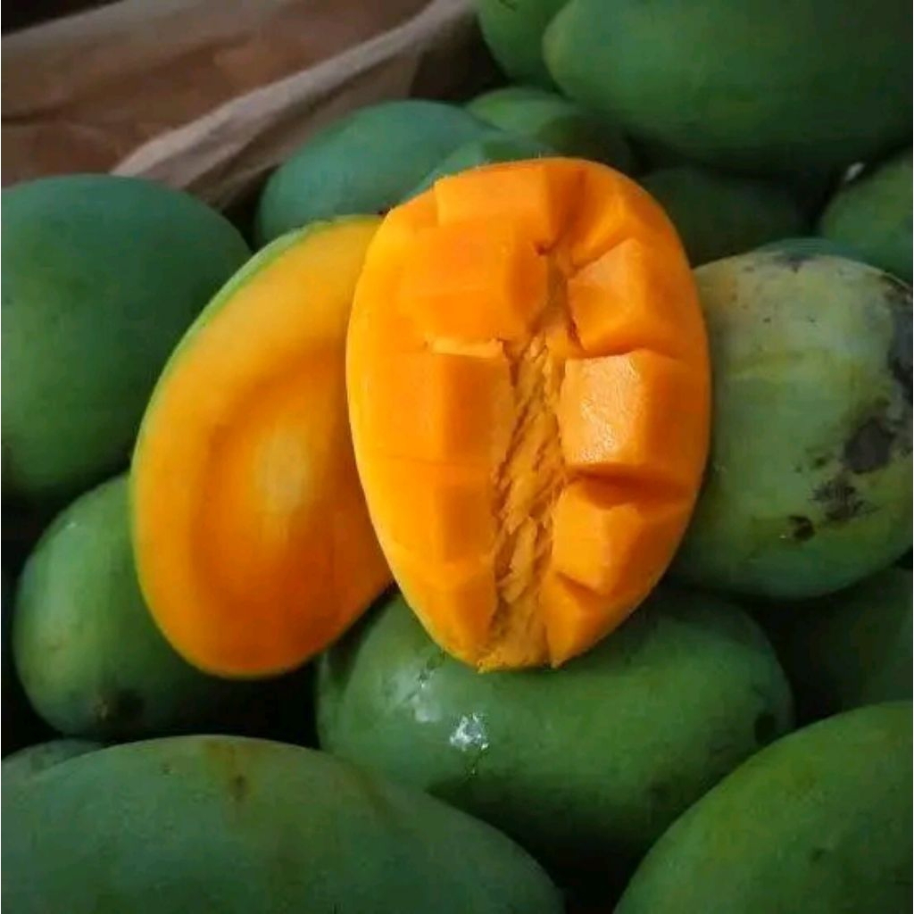 

Mangga Gadung/Arum Manis Spek Market