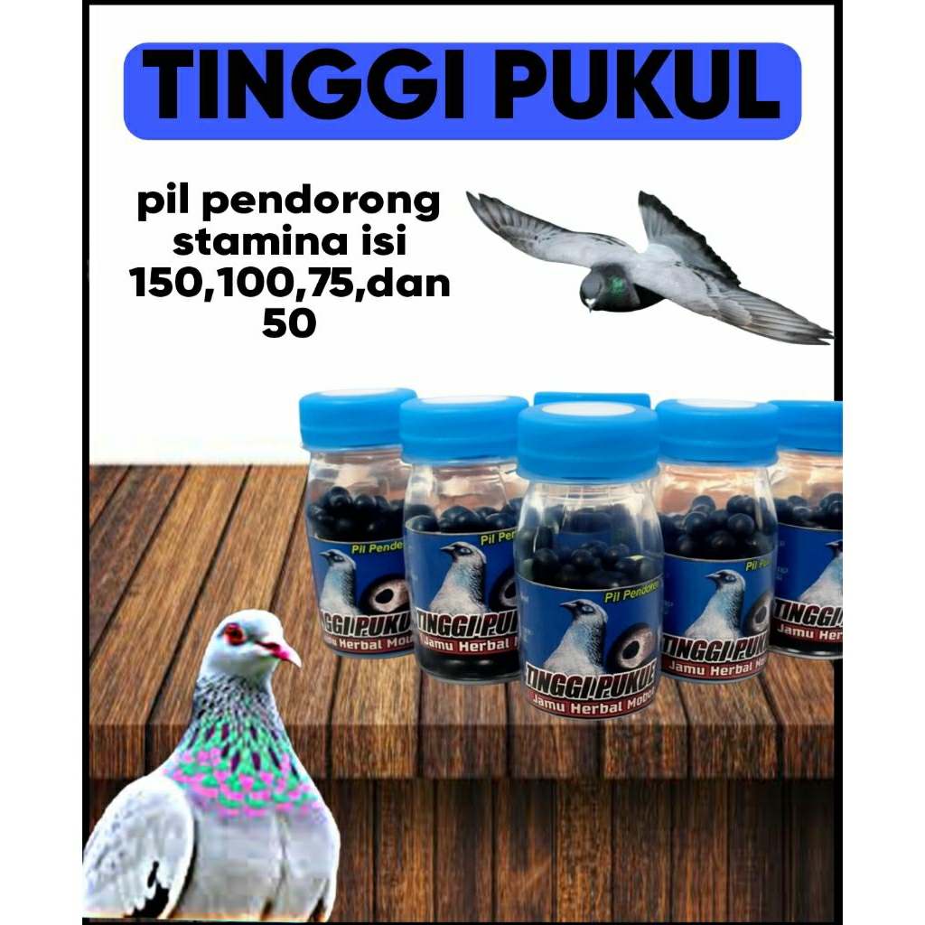 JAMU MERPATI TINGGI PUKUL ISI 100 Pil Hitam extrak gingseng teki pil alus pil rjb pil edan purwoceng