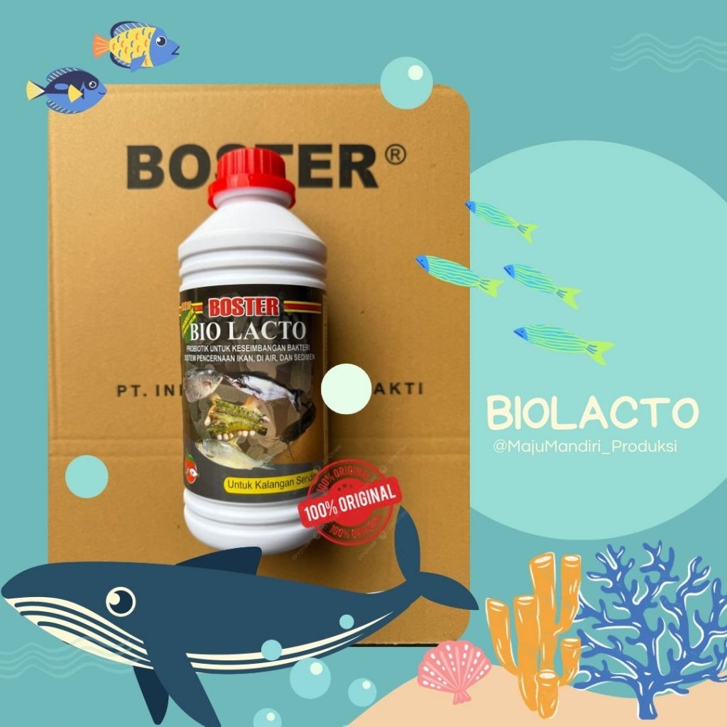BOSTER BIOLACTO, Biolacto Probiotik 1L BOSTER
