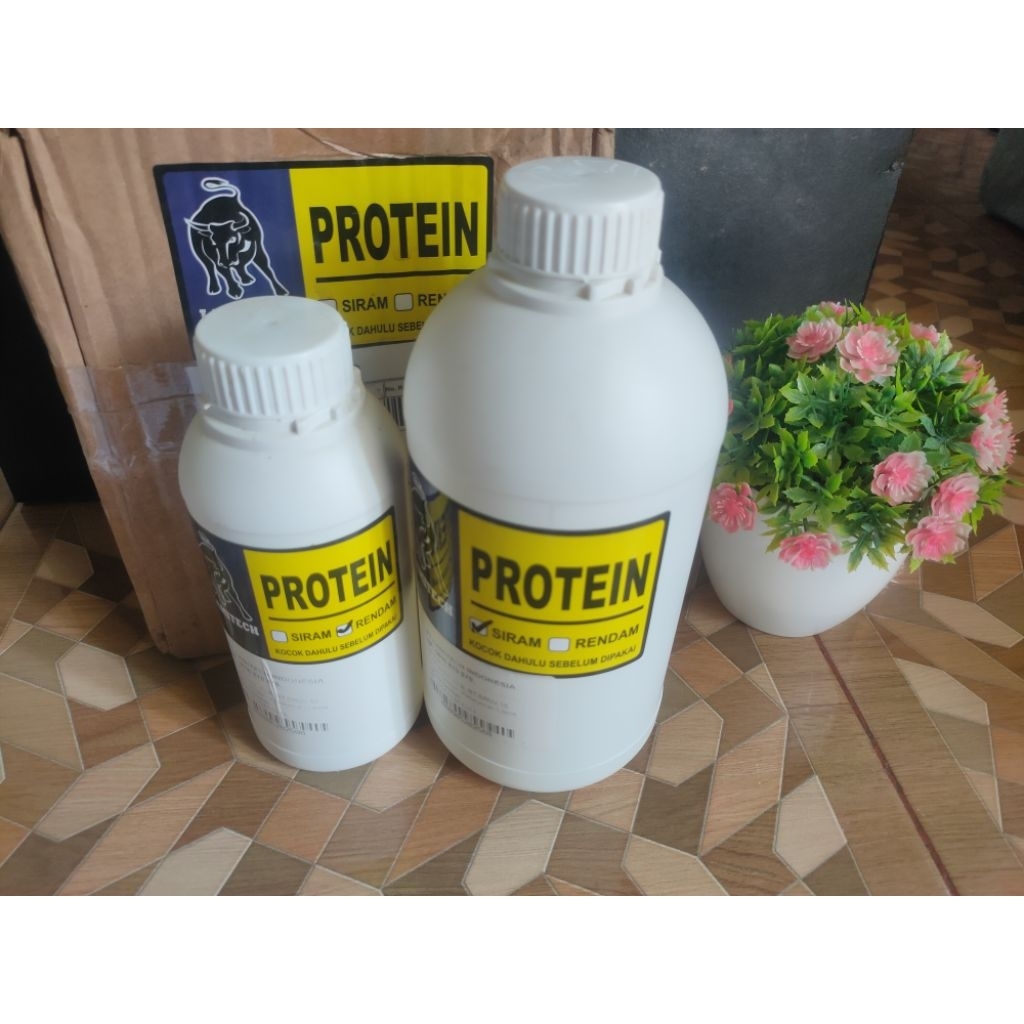 

Nutrisi Tauge rendam siram buka segel saja