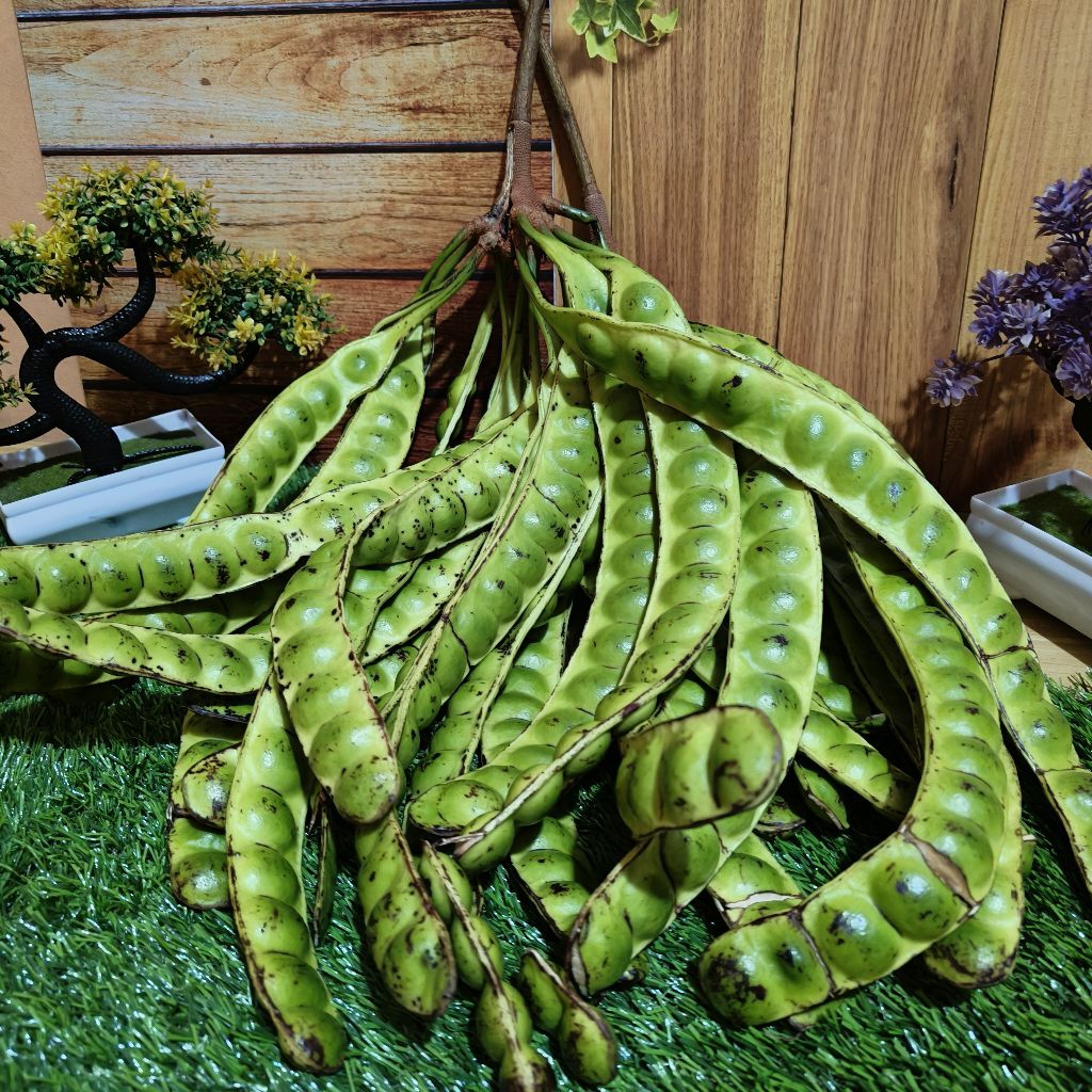 

Pete super Lonjoran isi 25 lonjor