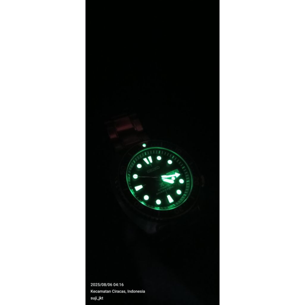 Seiko turtle x diver