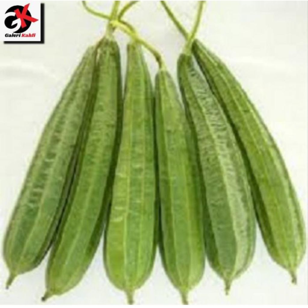 

Sayur Oyong Segar Fresh Berkualitas - 500gr