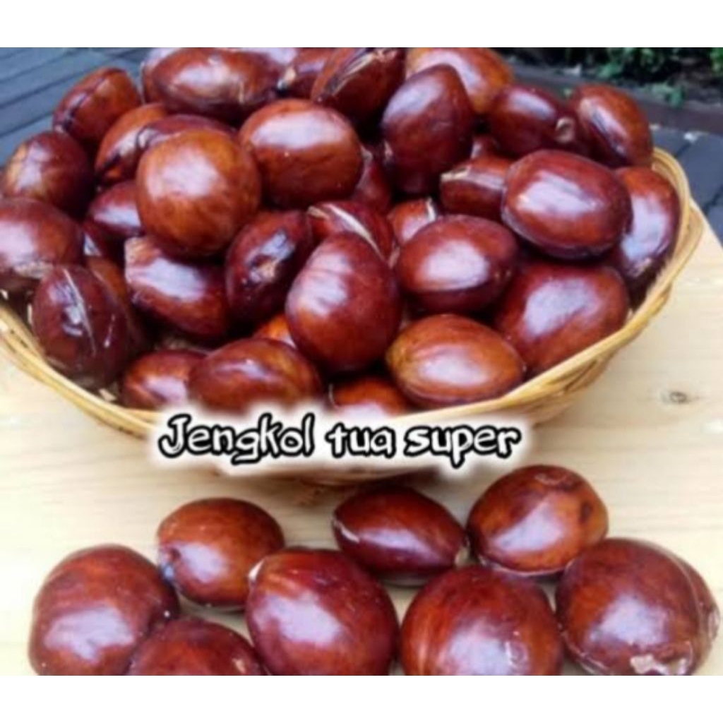 

jengkol tua super Fress 1kg COD ( BERGARANSI & PACKING DUS BOXX )