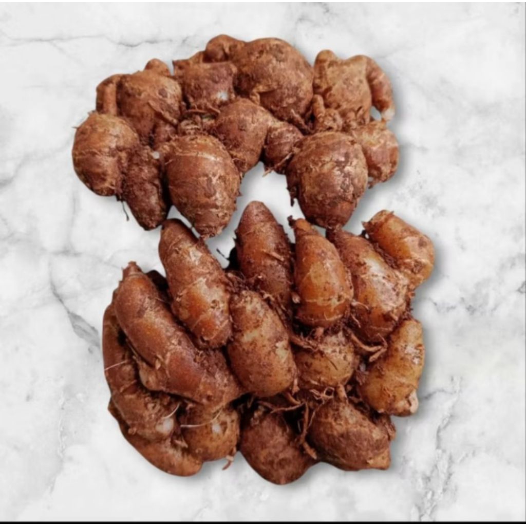 

1kg kencur tua gede dalemnya putih asli banten