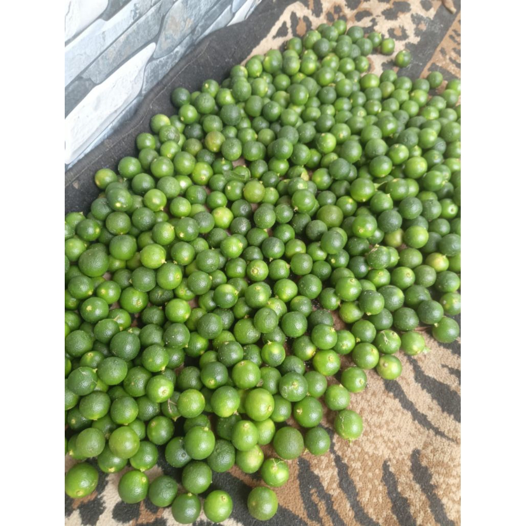 

2kg jeruk sonkit kasturi segar dan fresh