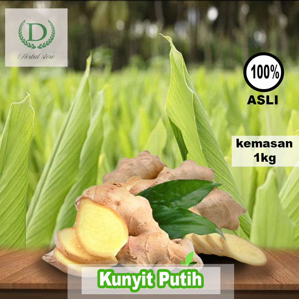 

Promo kunyit putih segar 1kg