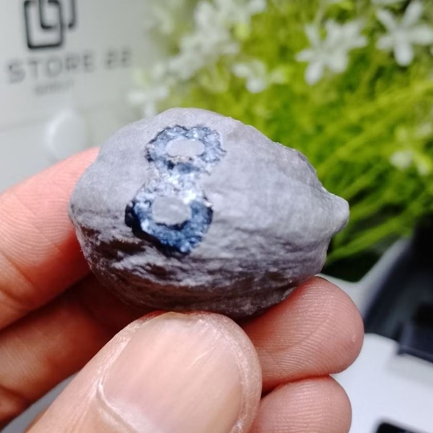 Muncang Adu Yanti SB x Manohara kode 8