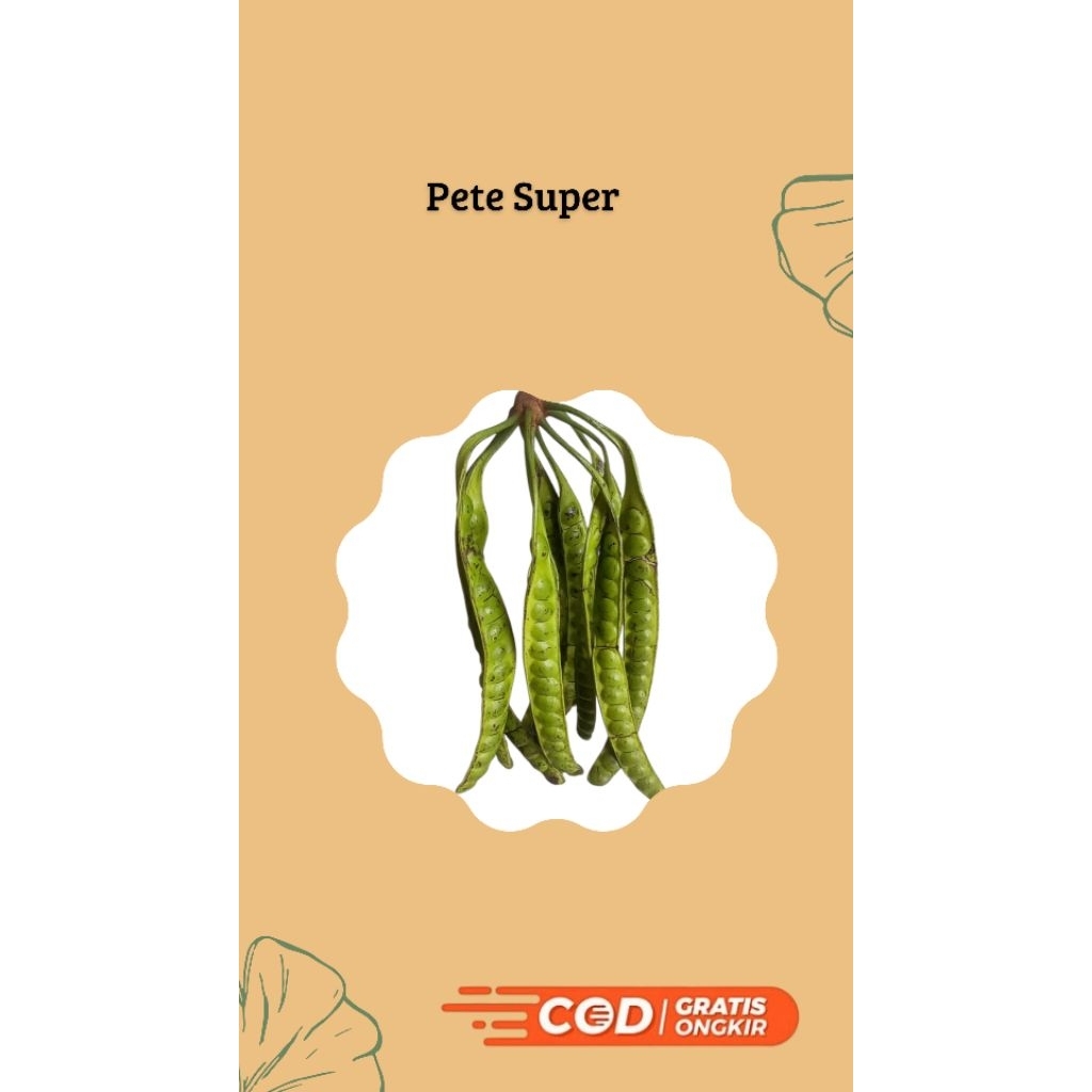 

Paket Pete Super Isi 10 Papan Asli Lampung