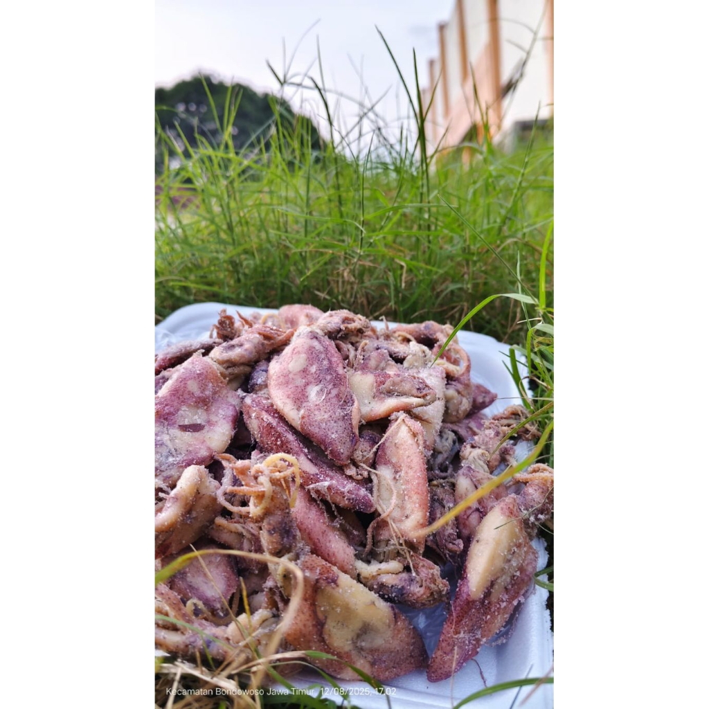 

CUMI ASIN (Original Premium 250GR)