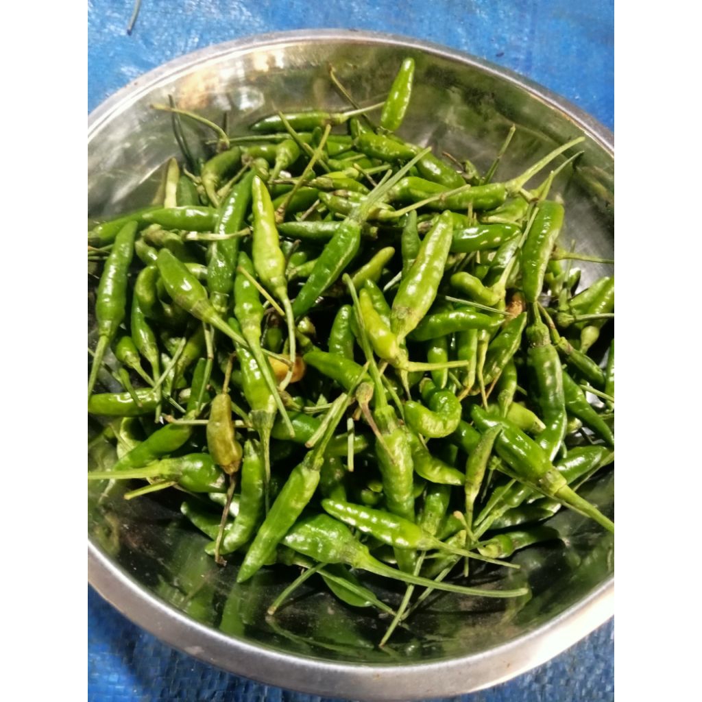 

Cabe Rawit Ijo / Cabe Rawit Hijau 250 gram