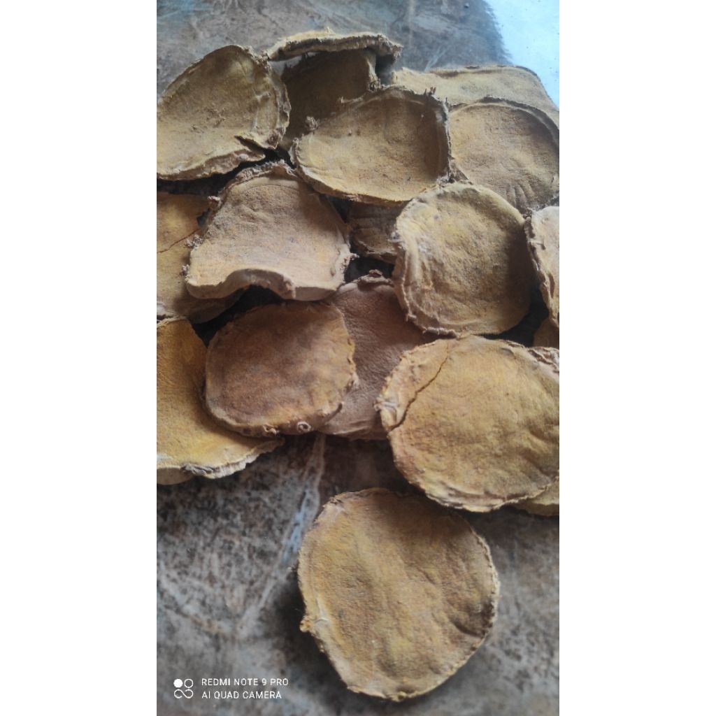 

temu lawak kering koin