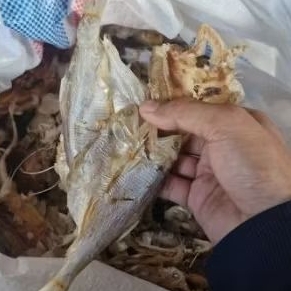 

Teri Bilis Besar Kering Tawar Premium – Ikan Asin Tawar – Olahan Laut