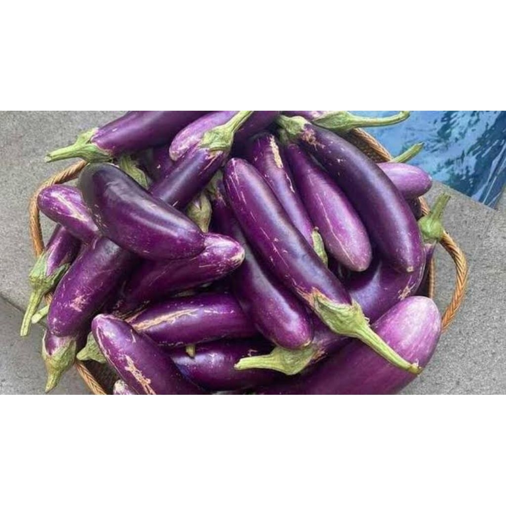 

terong ungu fresh termurah 250 gr 500 gr 1 kg