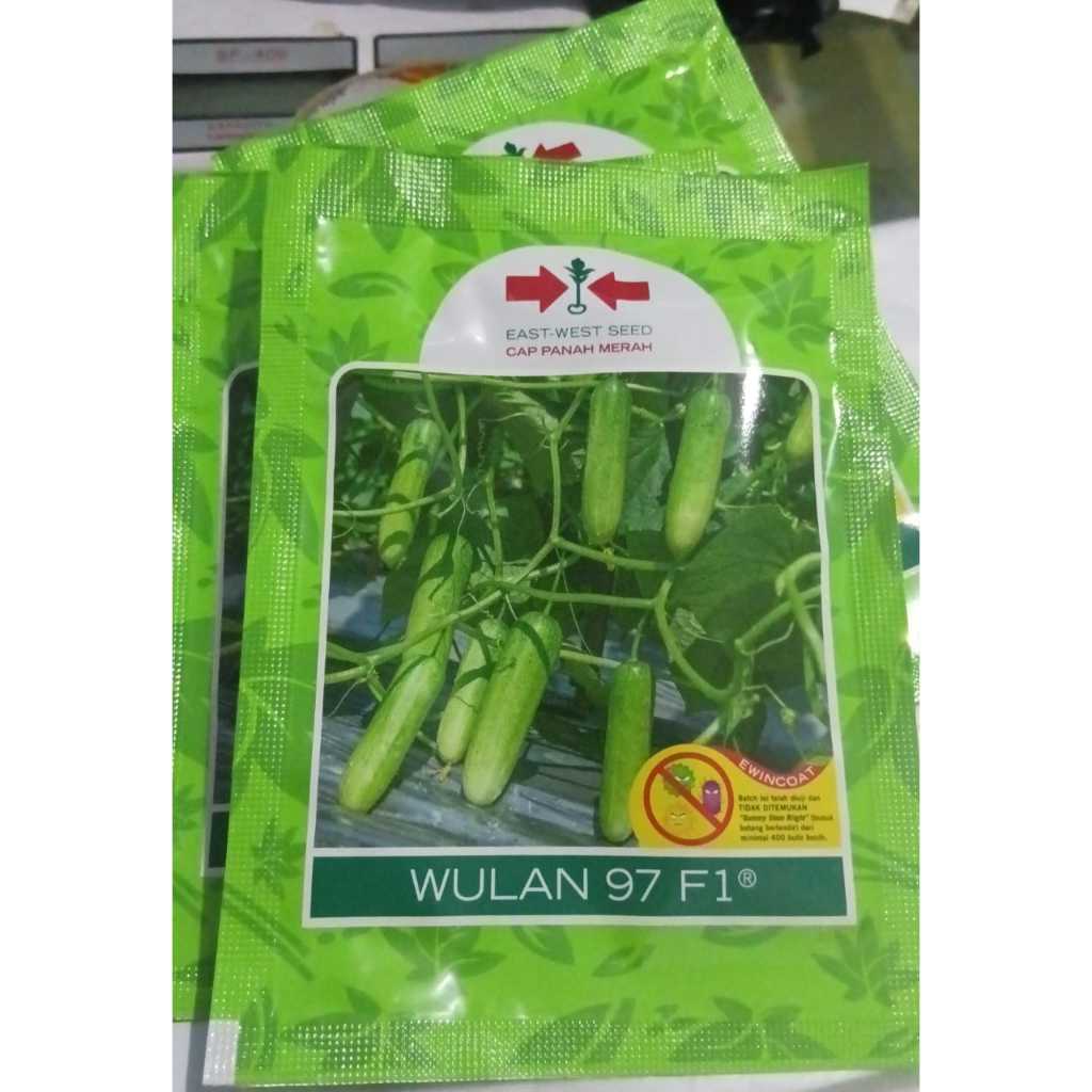 PROMO BENIH MENTIMUN WULAN 97 F1 ISI 800 BIJI