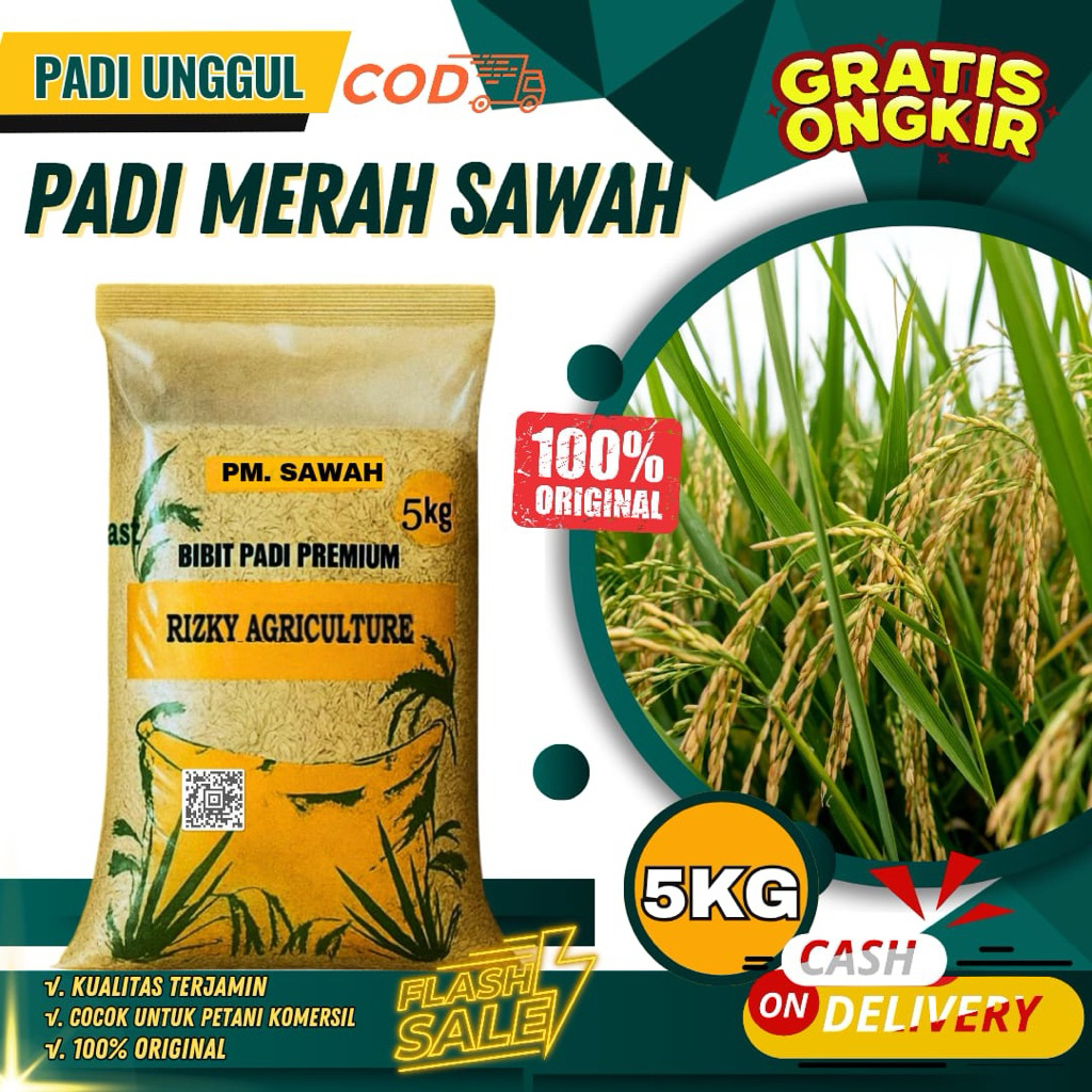 BENIH PADI BIBIT PADI MERAH SAWAH BIBIT UNGGUL 100% ORIGINAL KEMASAN 5 KG