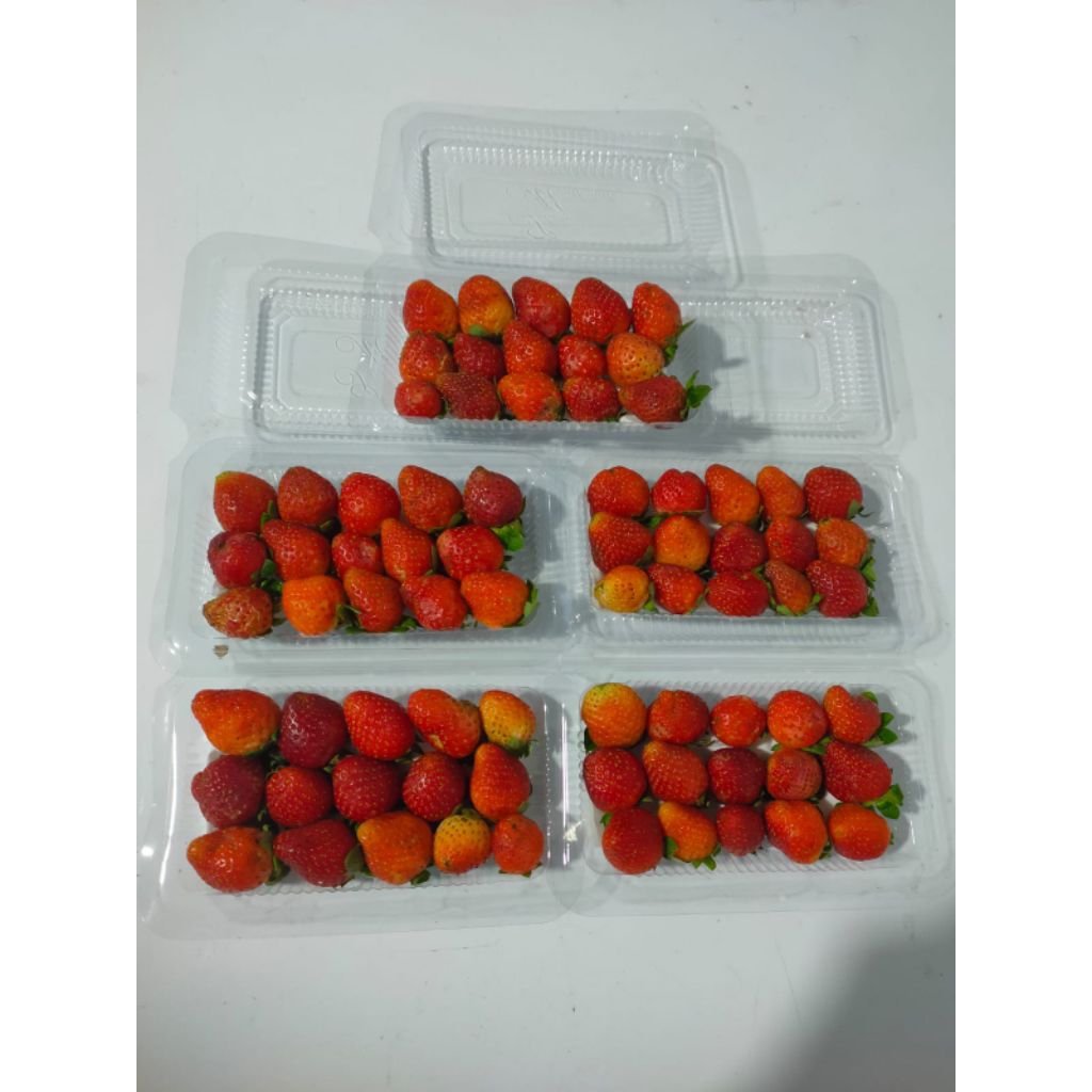 

strawberry fresh ciwidey