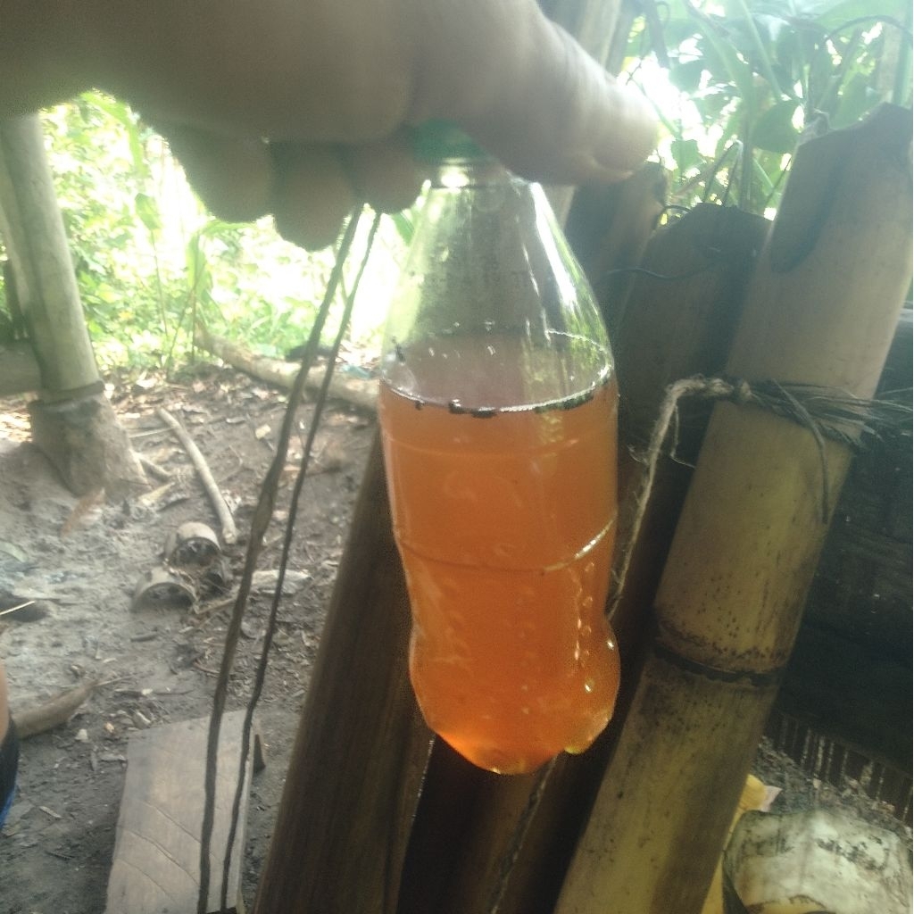 

air nira aren sudah di masak 500gam