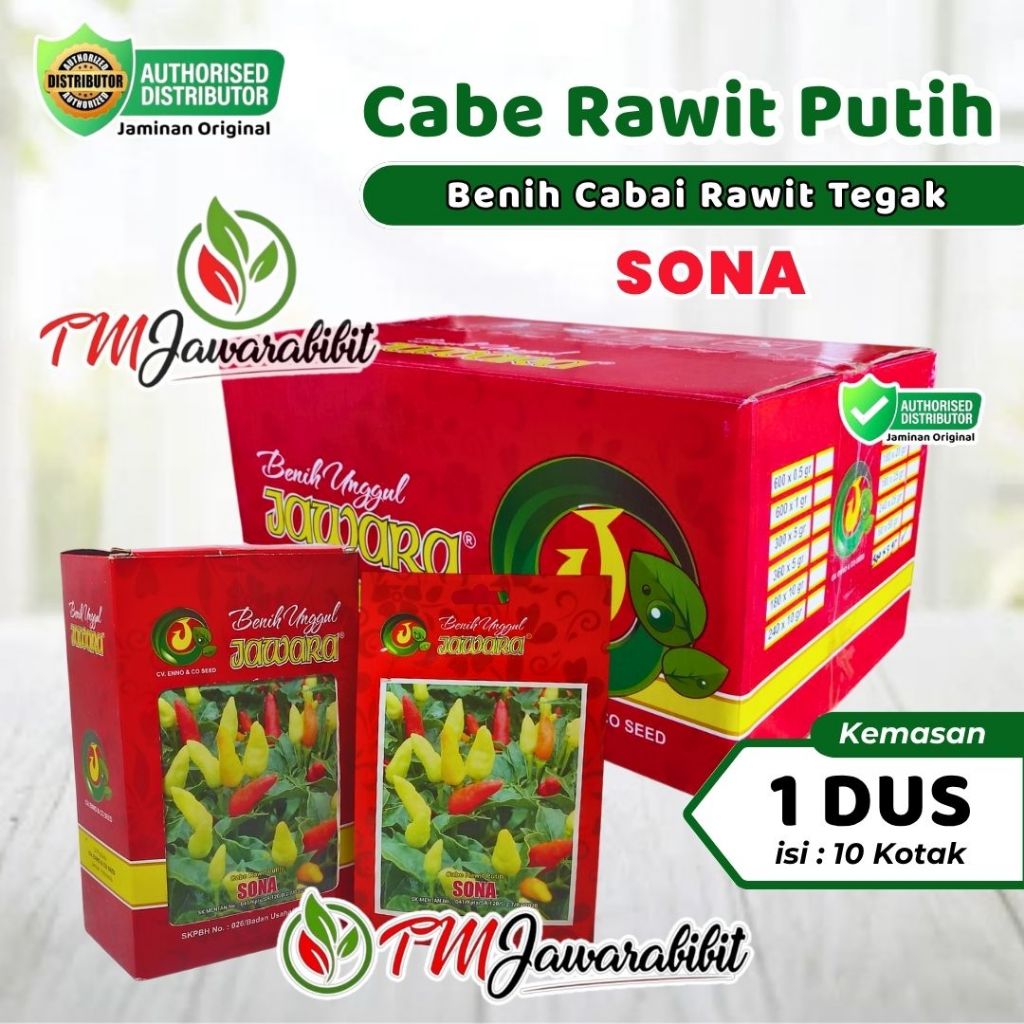 BENIH JAWARA - BENIH BIBIT CABE RAWIT PUTIH SONA JAWARA - 1 DUS