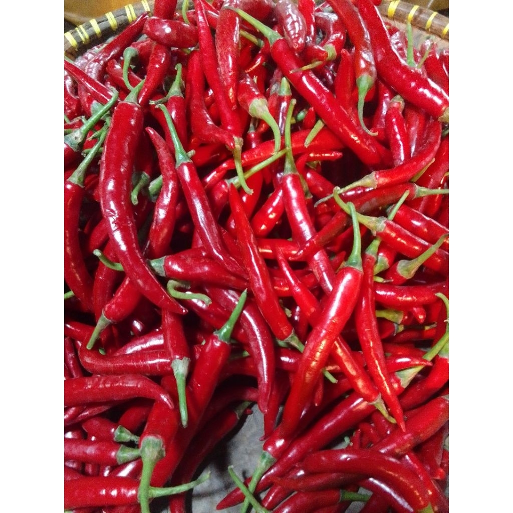 

cabe merah besar super 250gr 500gr 1000gr