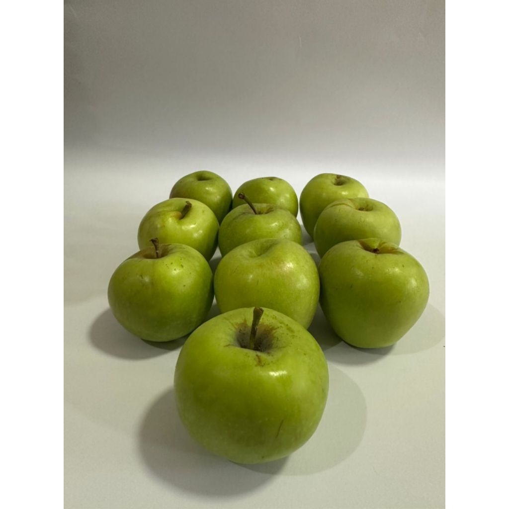 

Apel Malang Manalagi Besar isi 9-11 buah per 1kg