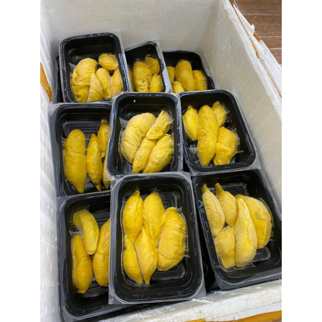 

MUSANGKING MALAYSIA FROZEN 3D