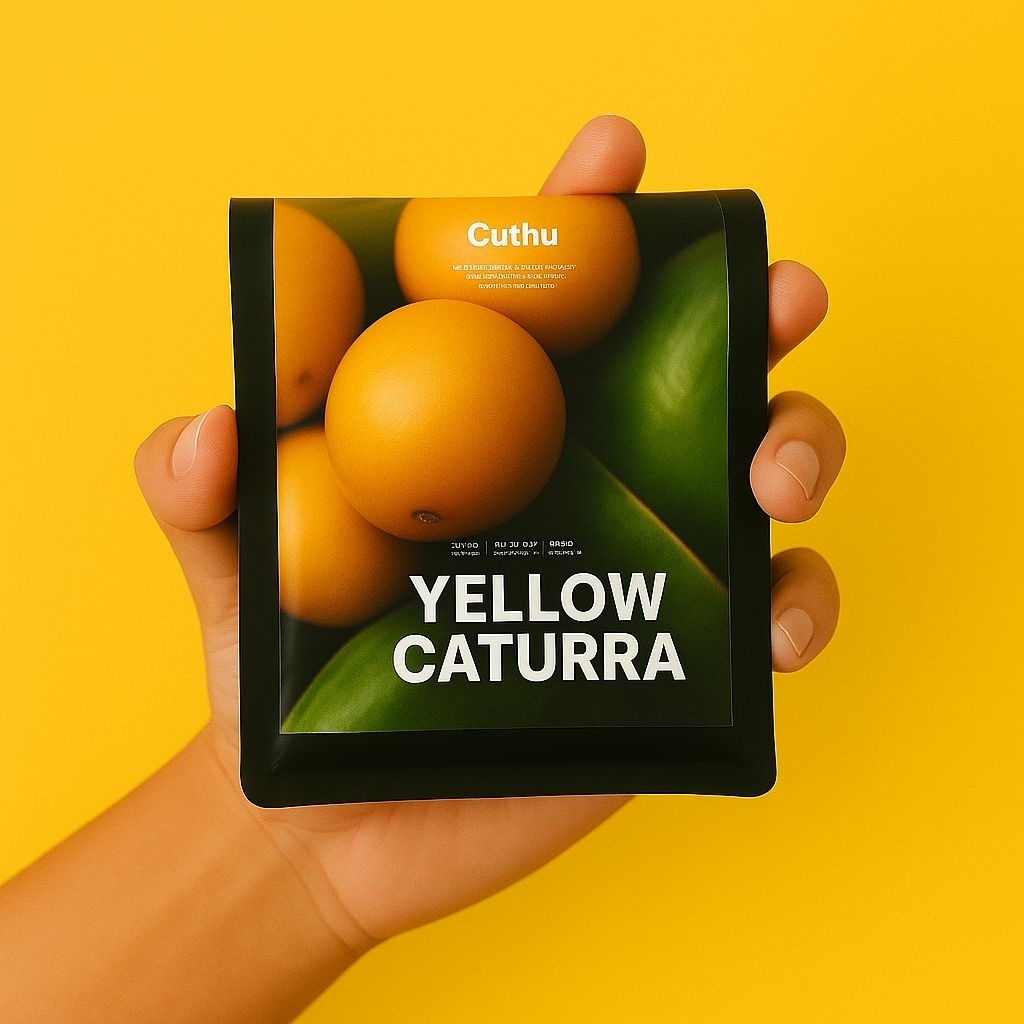 

Yellow Caturra - Kopi Temanggung