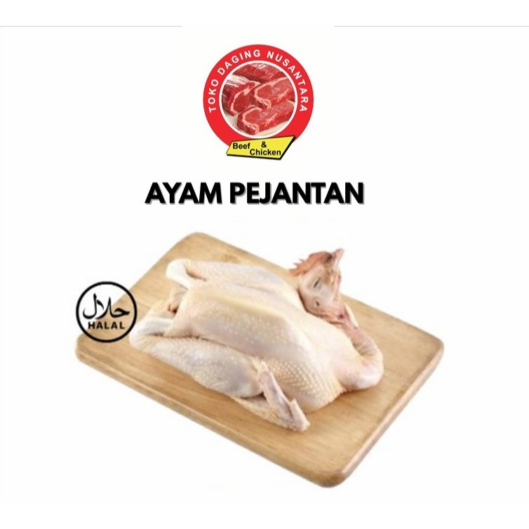 

Ayam Pejantan Utuh 1 Ekor 0.7 / Ayam Pejantan