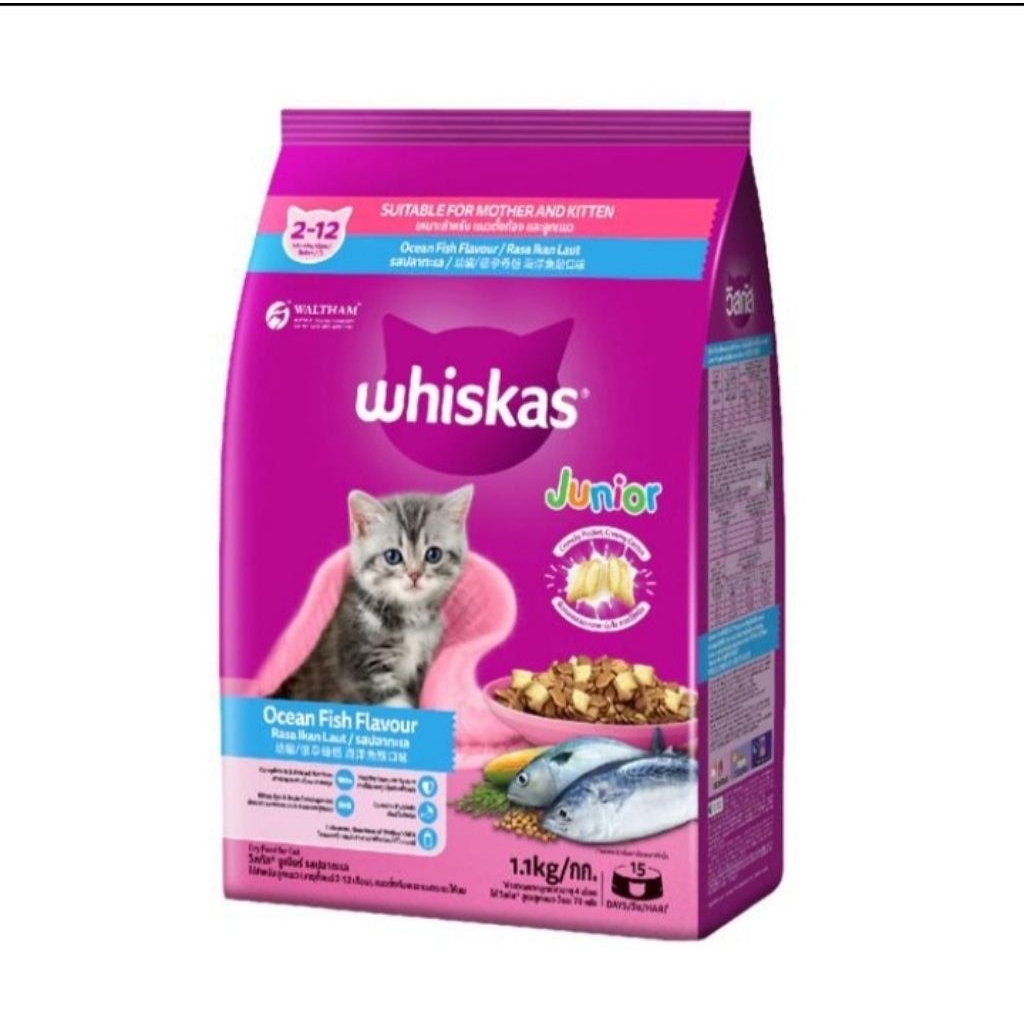 Whiskas Junior Ocean Fish 1.1Kg/Dry Kitten Mother Baby Cat Food/ Makanan Kering Kucing