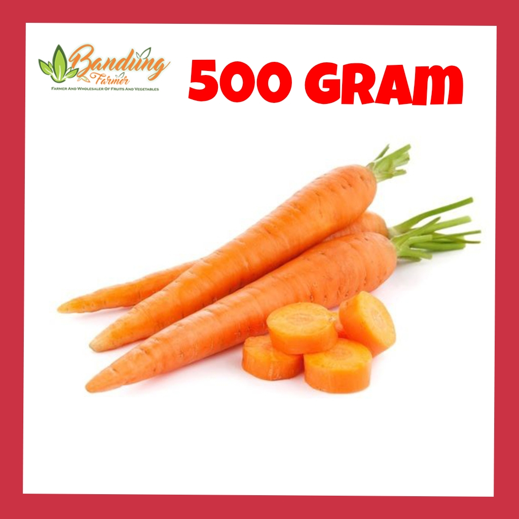 

WORTEL LANGSUNG DARI KEBUN CABUT DADAKAN