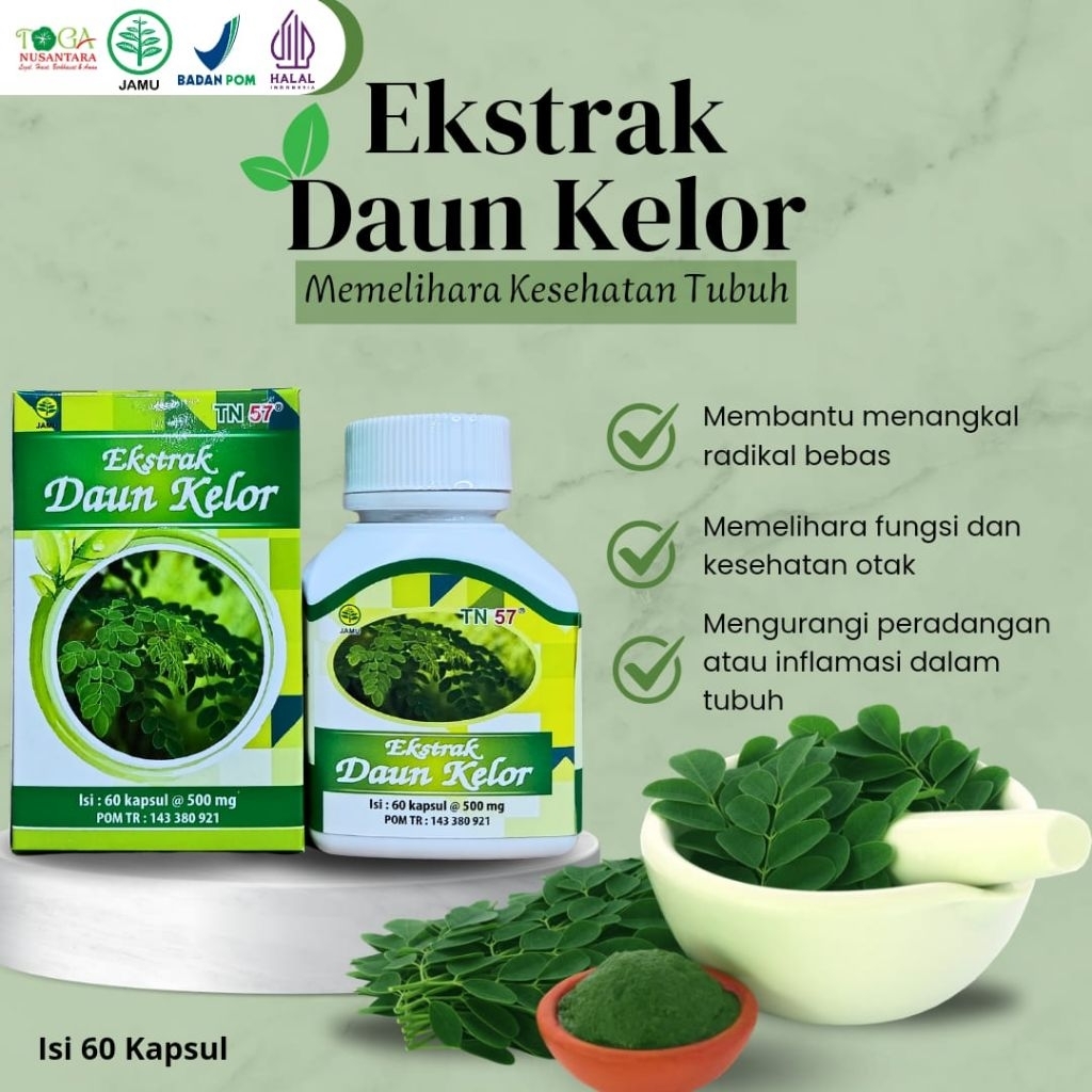 

Ekstrak Daun Kelor