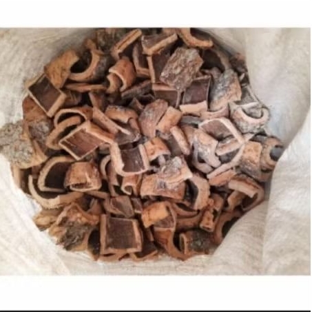 

promo kulit pule kering, kulit pohon pule kering banyak manfaat per100 gr