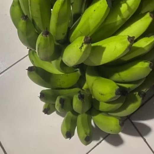 

Buah Pisang Mentah GY 500 Pisang Bangkaulu