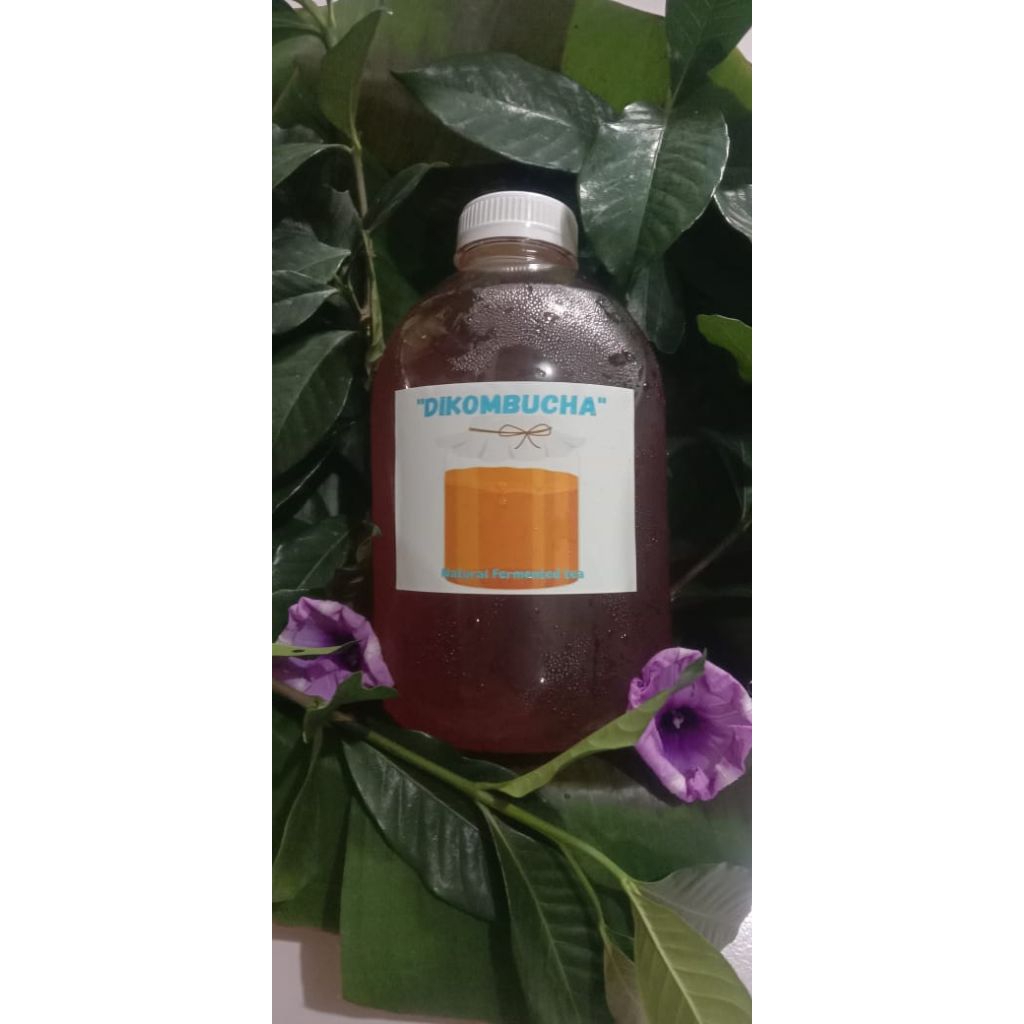 

Teh Kombucha Kemasan 1 Liter