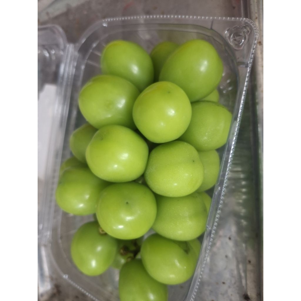 

Anggur Shine Muscat Pack