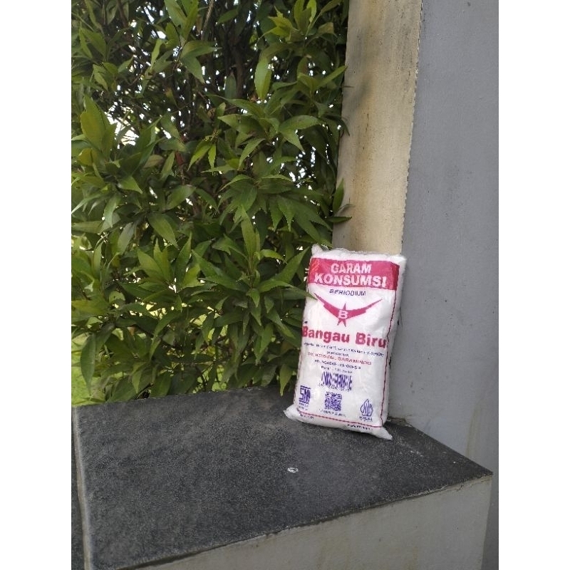

BANGAU BIRU Garam Halus 500gr