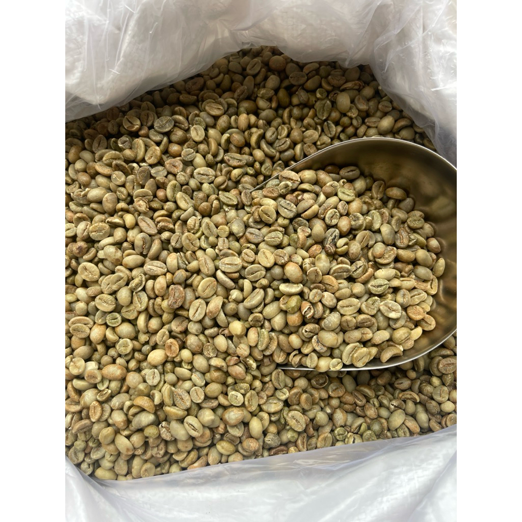 

Green Beans Robusta Temanggung