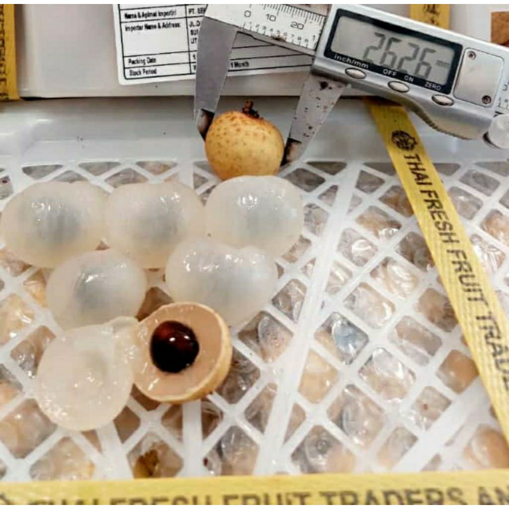 

Kelengkeng premium bangkok