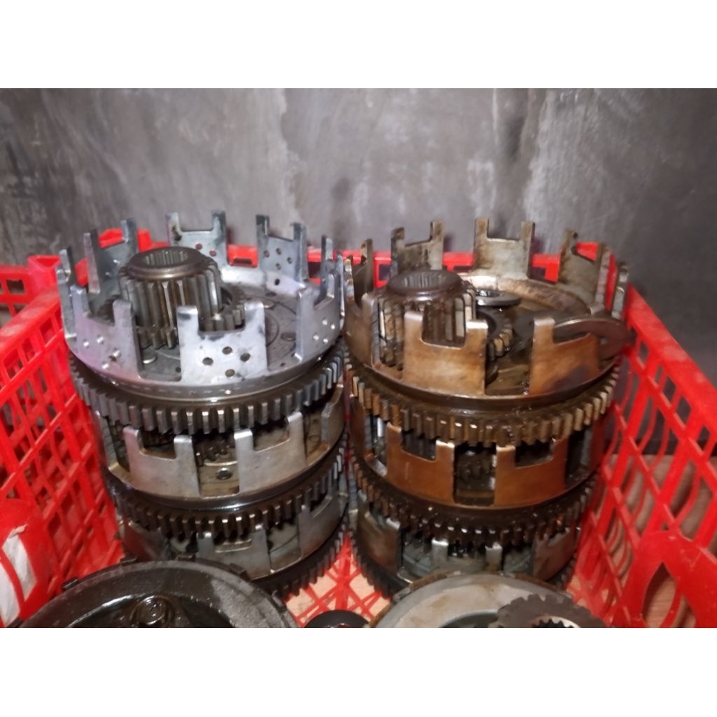 draf gir primsek tiger revo tiger lawas ori cepotan