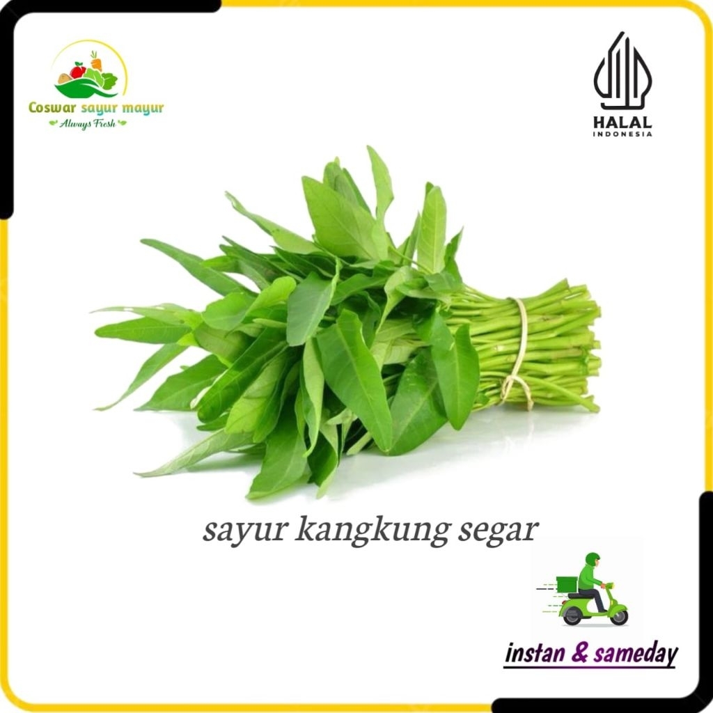 

{ 1 ikat } sayuran kangkung segar baru petik kualitas terbaik