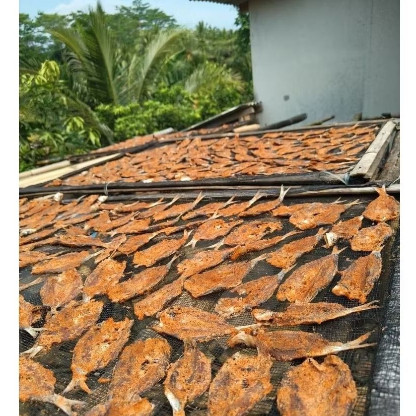 

Dendeng Tembang /sarden 16 pcs